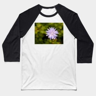 Purple chicory flower Baseball T-Shirt